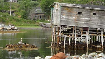 Brigus South, NL